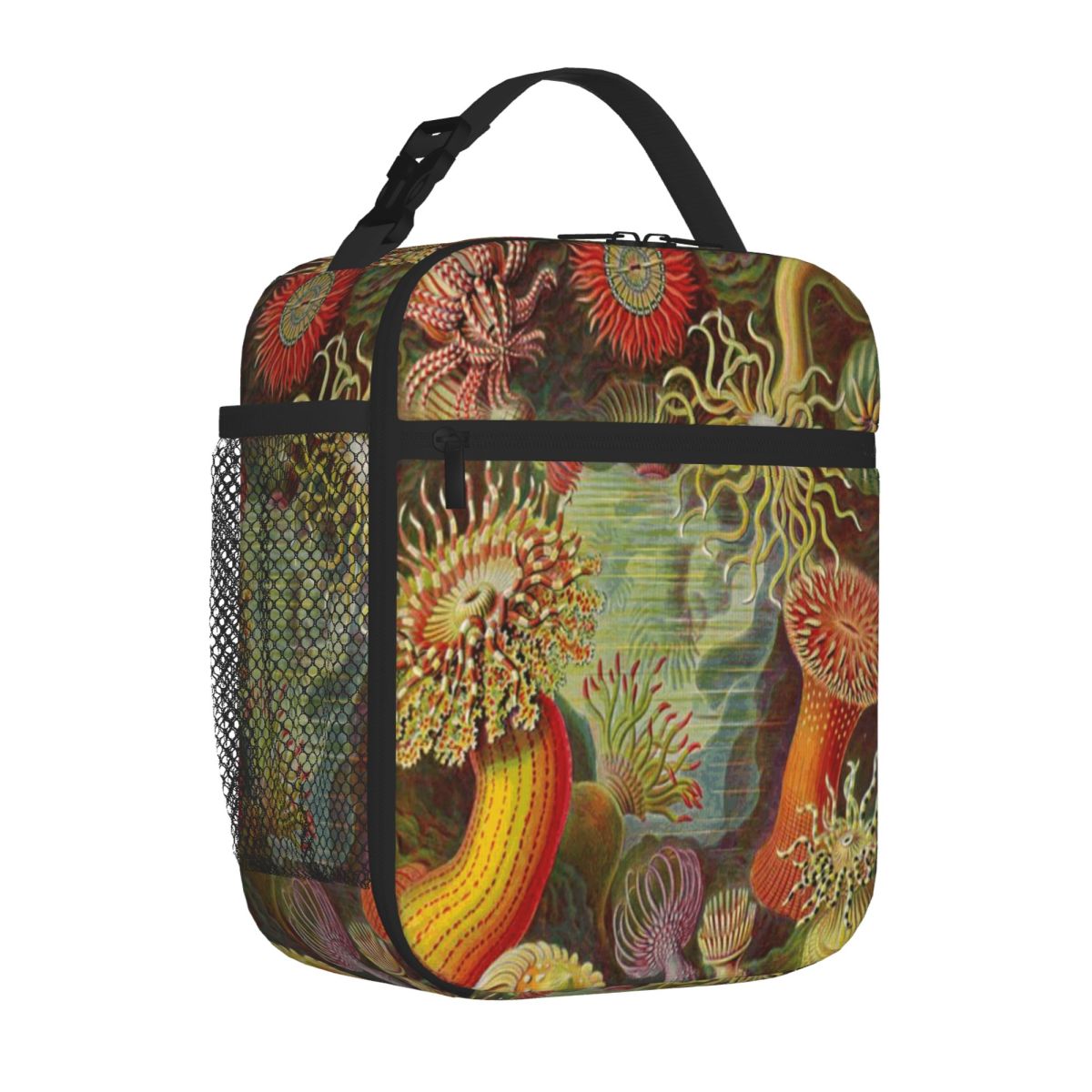Meal Prep Diet - Hot Sale Sea Anemone - Ernst