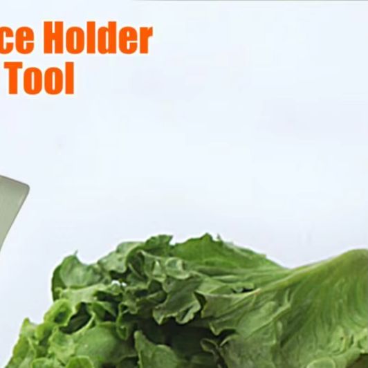 Vegetable Slicing Tool Onion S - Onion Holder Slicer recension och pris